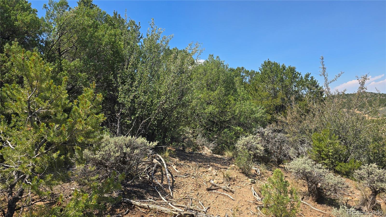 Lot 1615 Dunn Road San Luis CO 81152