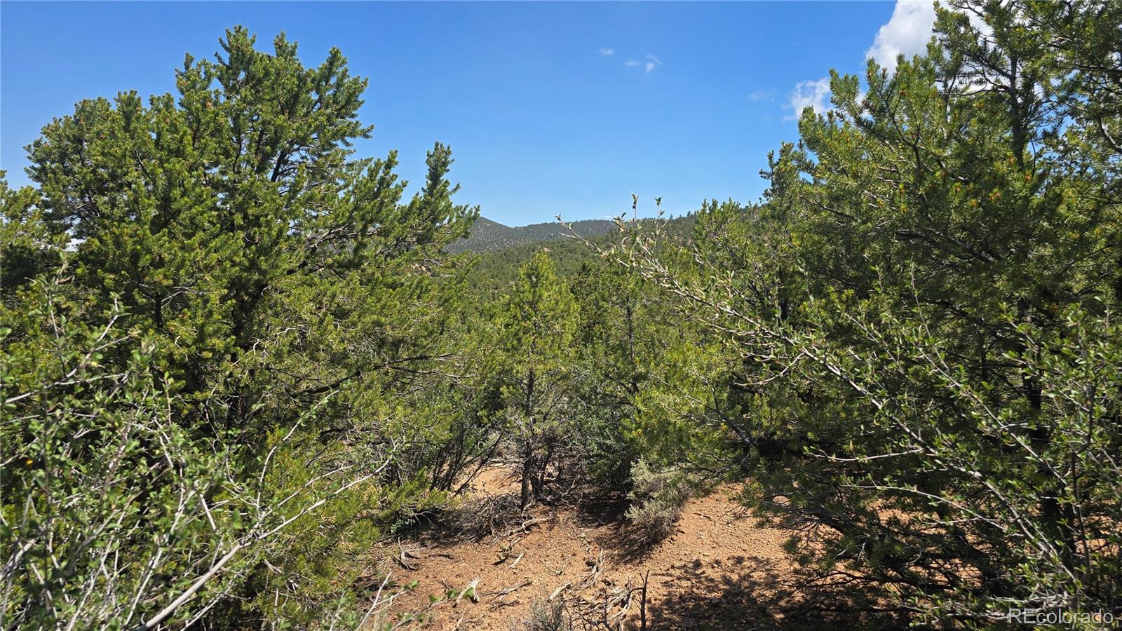 Lot 1615 Dunn Road San Luis CO 81152