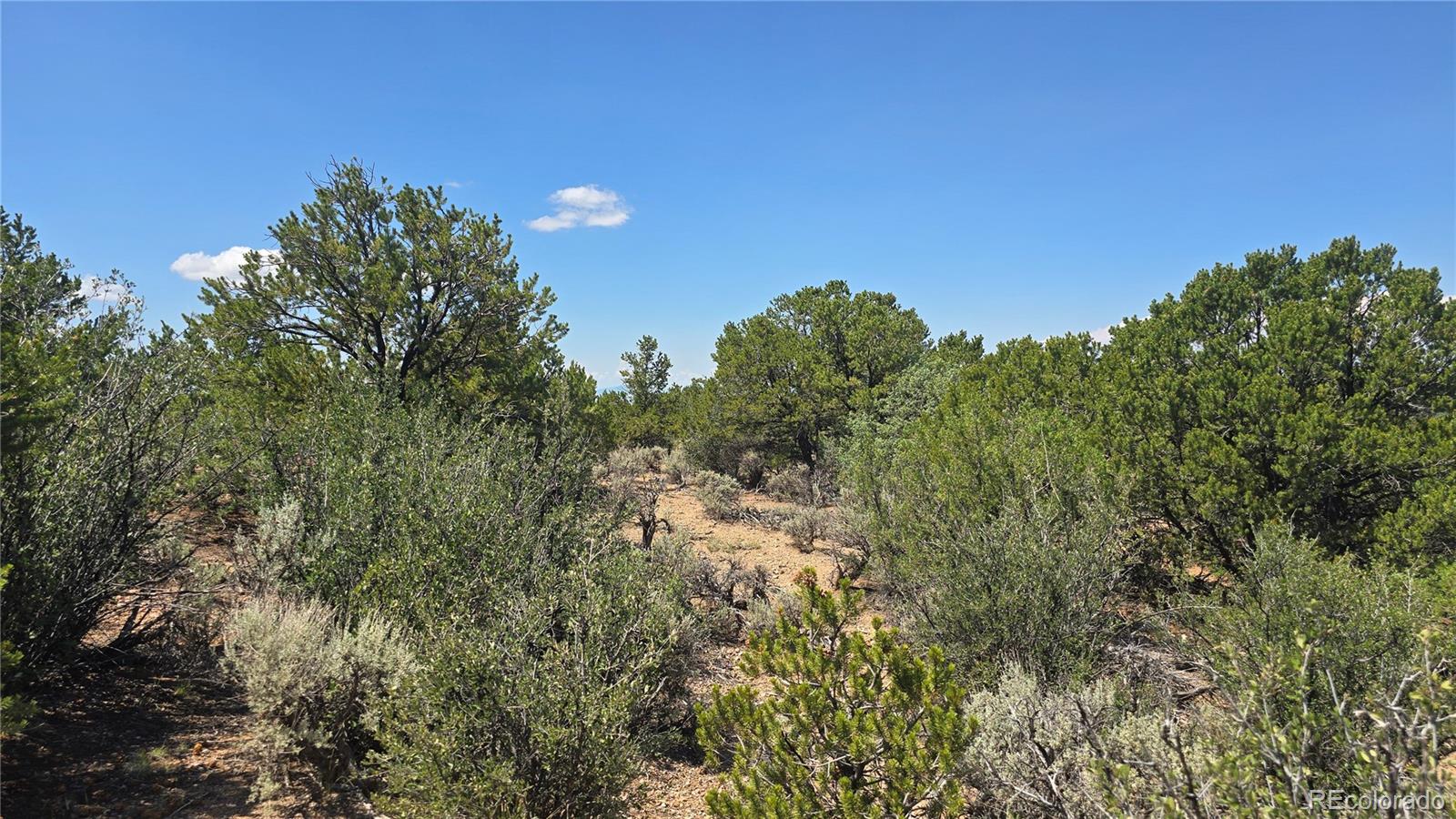 Lot 1615 Dunn Road San Luis CO 81152