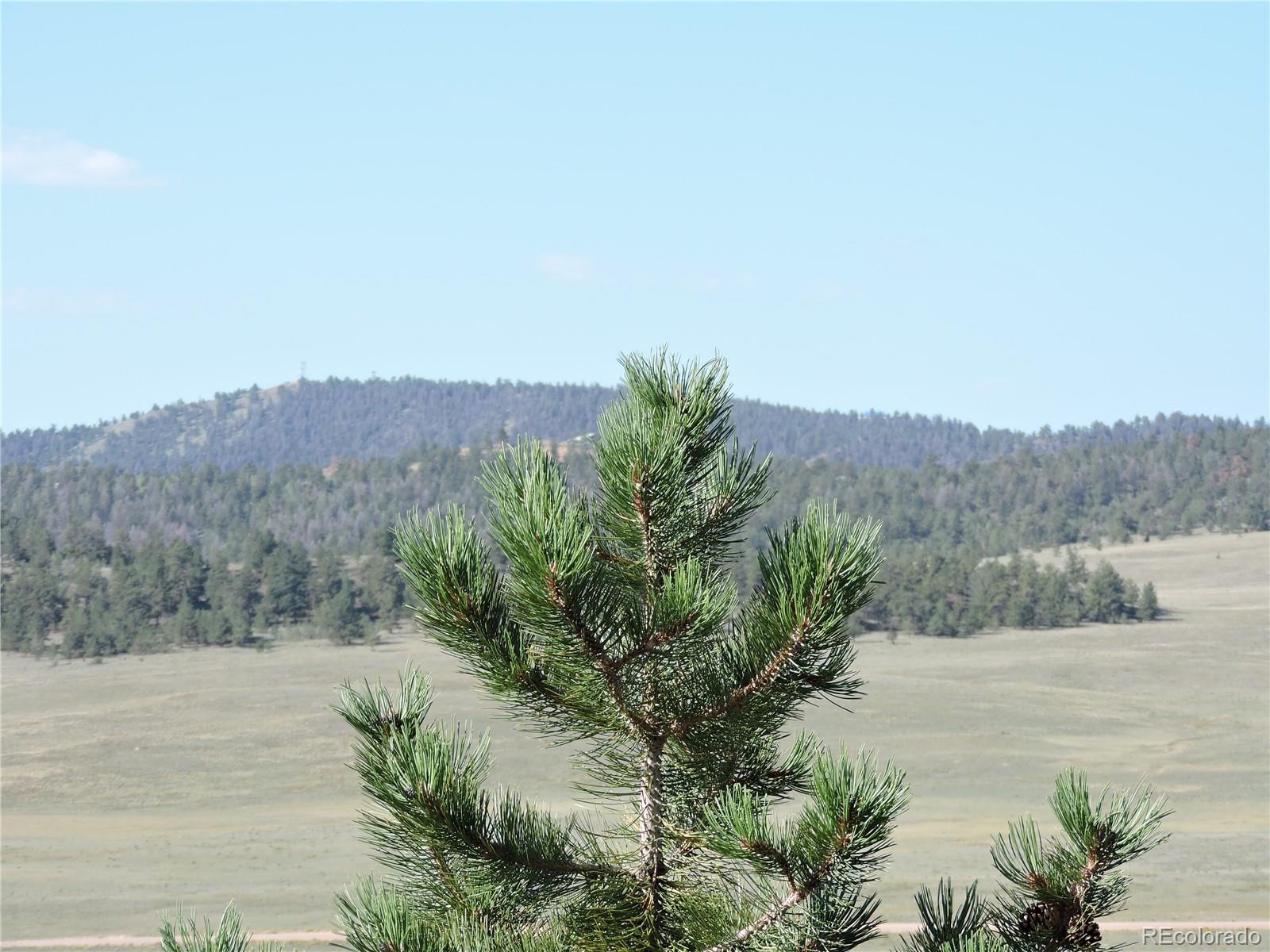 640 Arapaho Trail Hartsel CO 80449