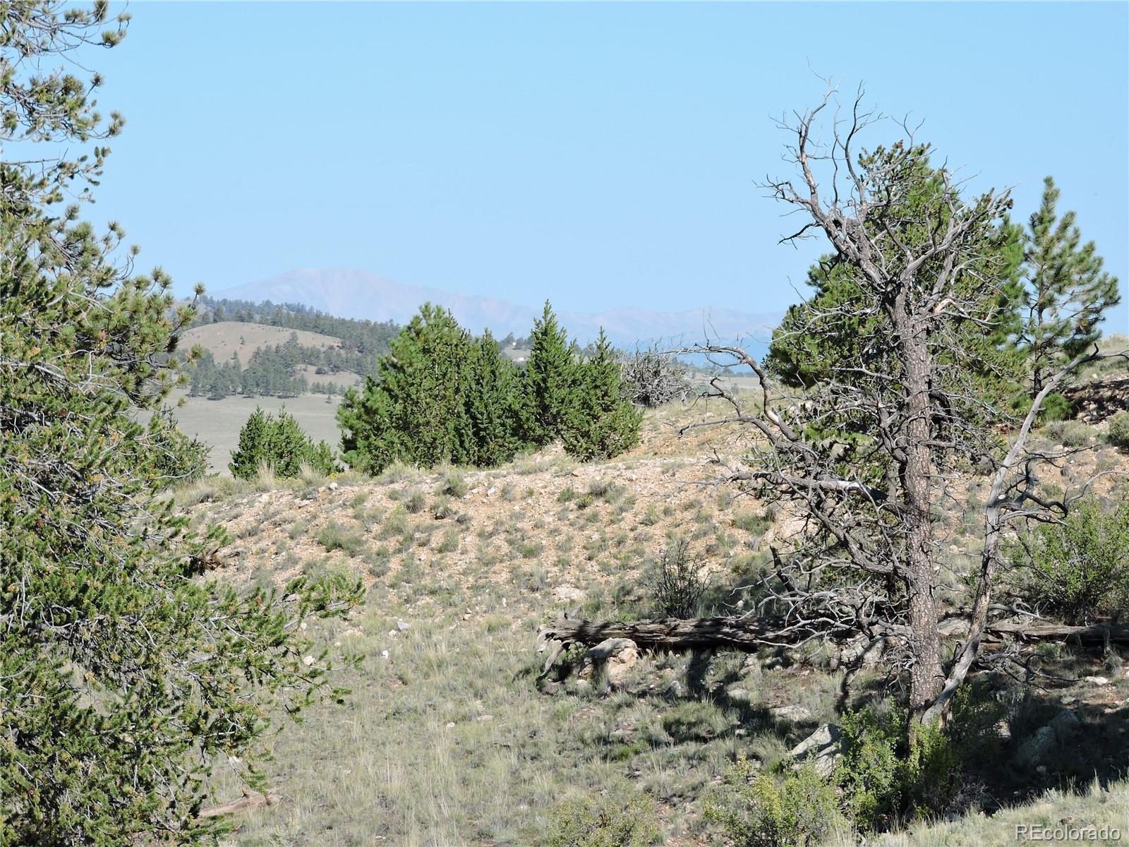 640 Arapaho Trail Hartsel CO 80449