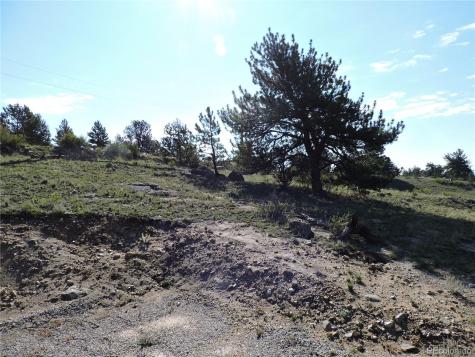640 Arapaho Trail Hartsel CO 80449