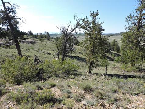 640 Arapaho Trail Hartsel CO 80449