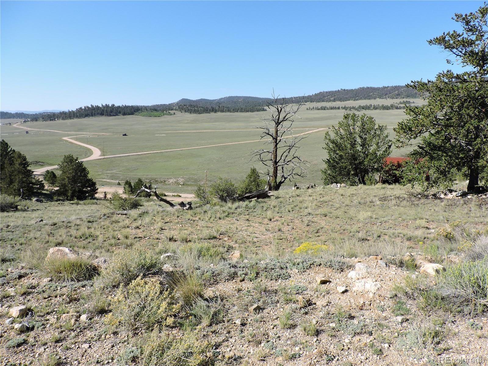 640 Arapaho Trail Hartsel CO 80449