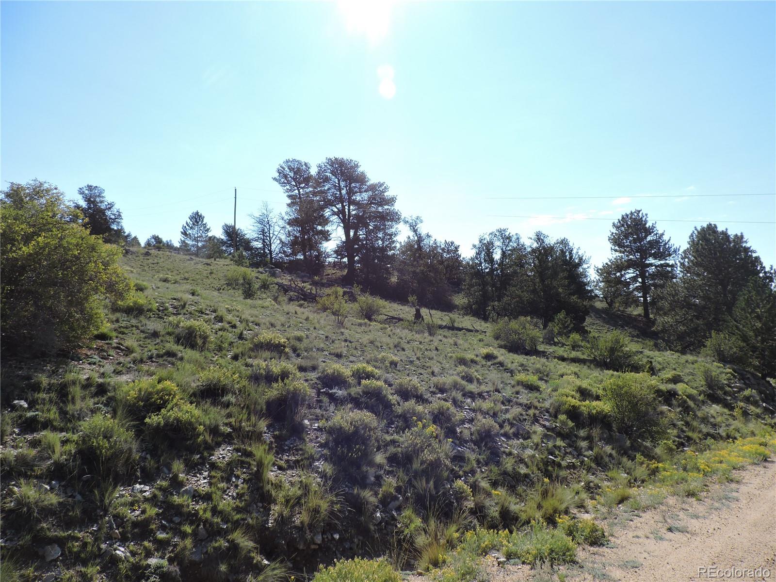 640 Arapaho Trail Hartsel CO 80449