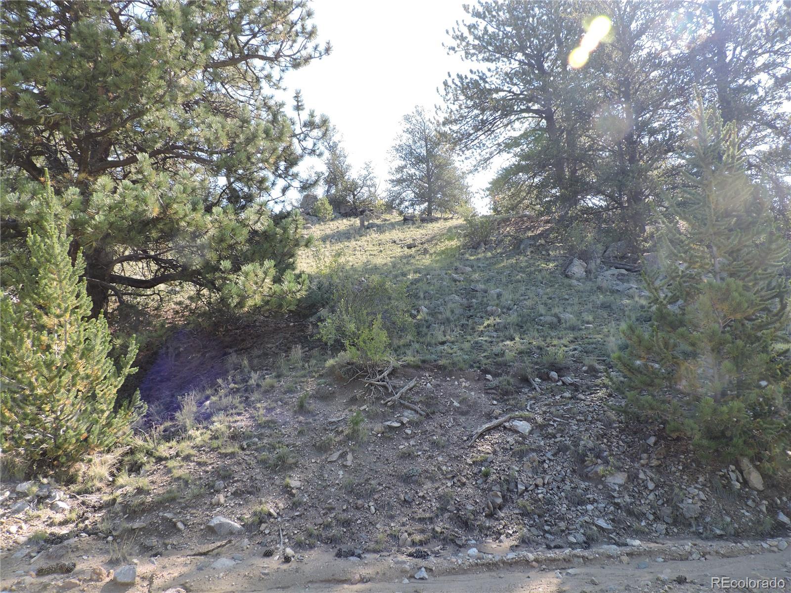 640 Arapaho Trail Hartsel CO 80449