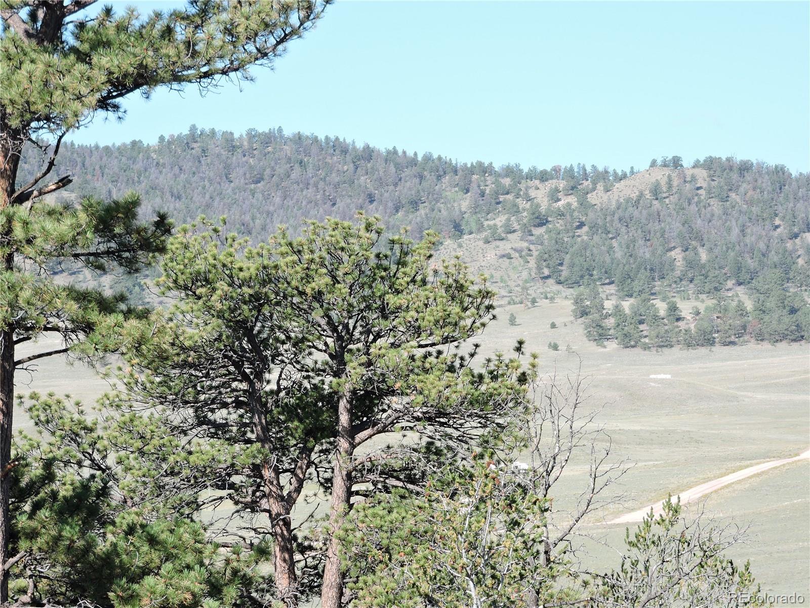 640 Arapaho Trail Hartsel CO 80449