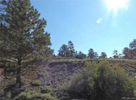 640 Arapaho Trail Hartsel CO 80449