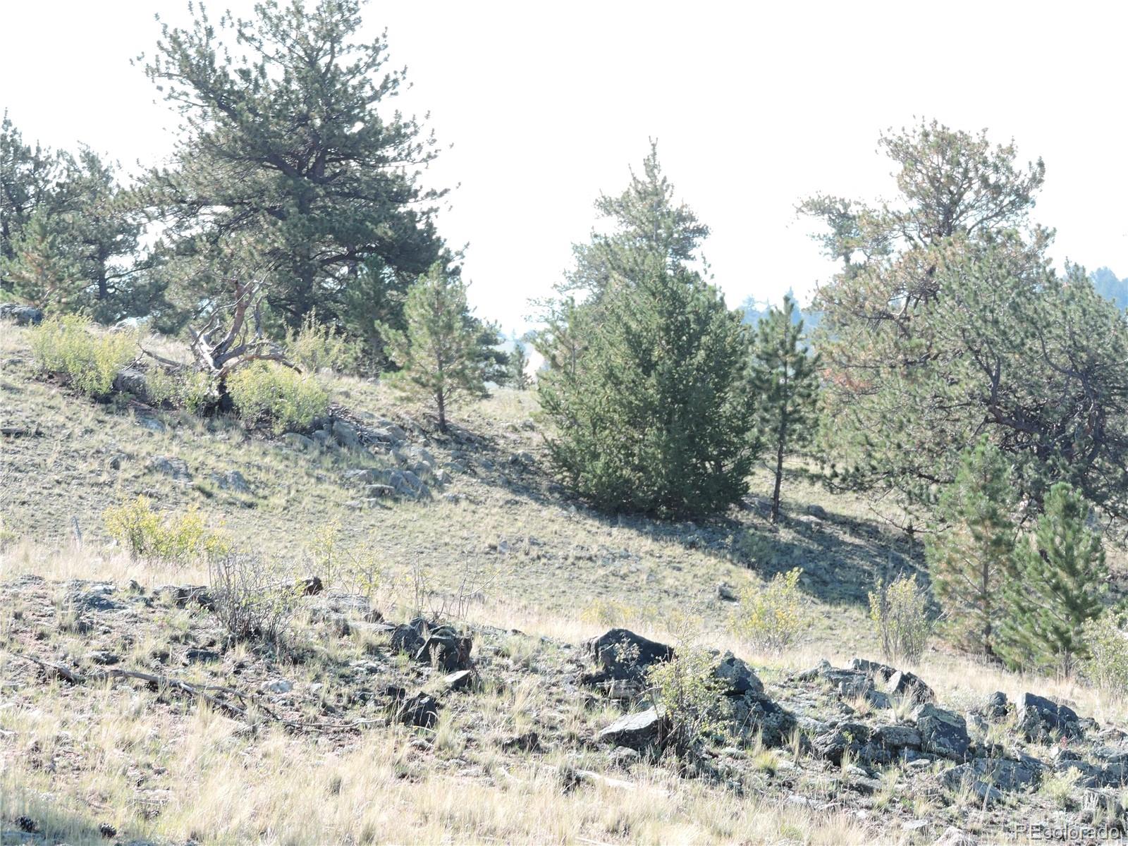 640 Arapaho Trail Hartsel CO 80449