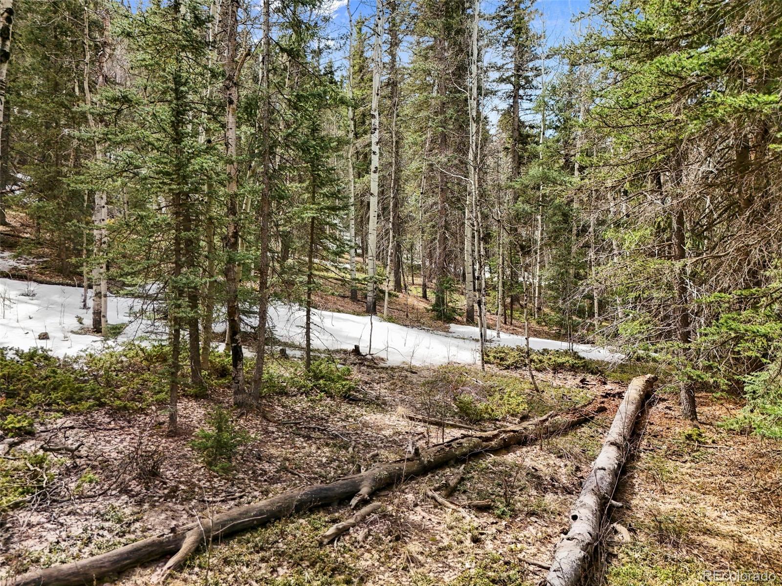 464 E Bison Creek Trail Florissant CO 80816