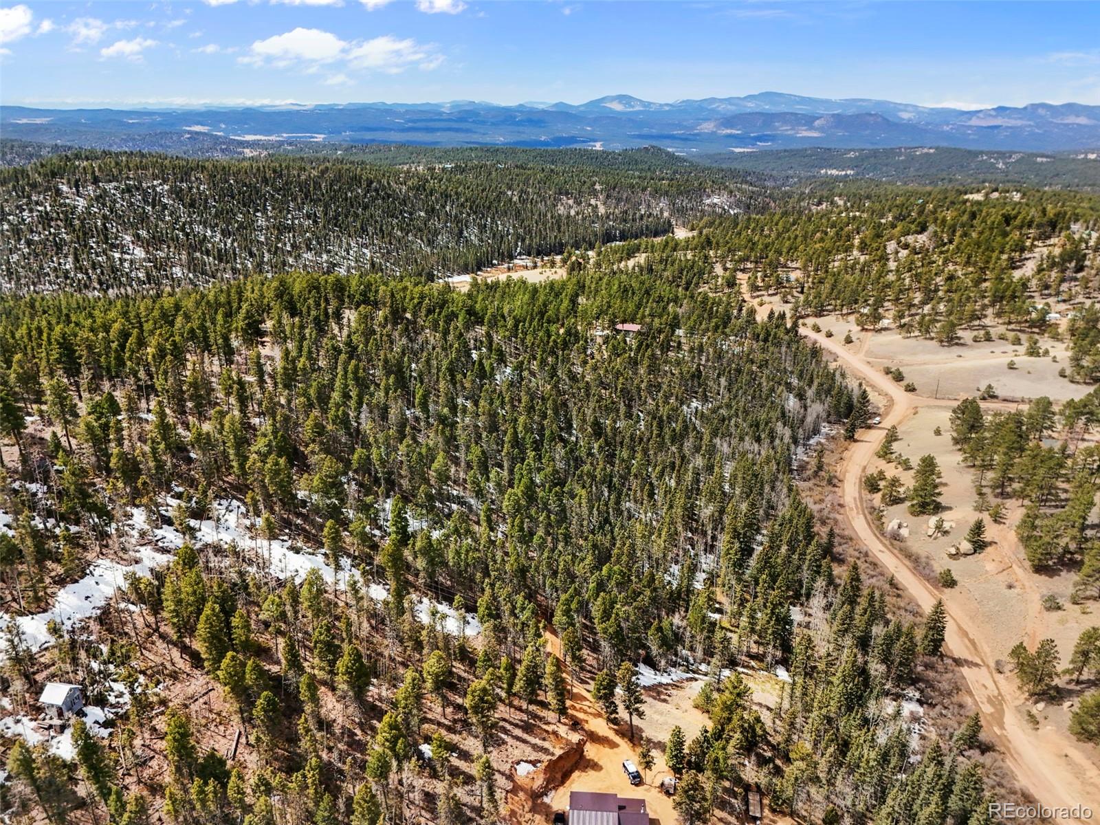 464 E Bison Creek Trail Florissant CO 80816