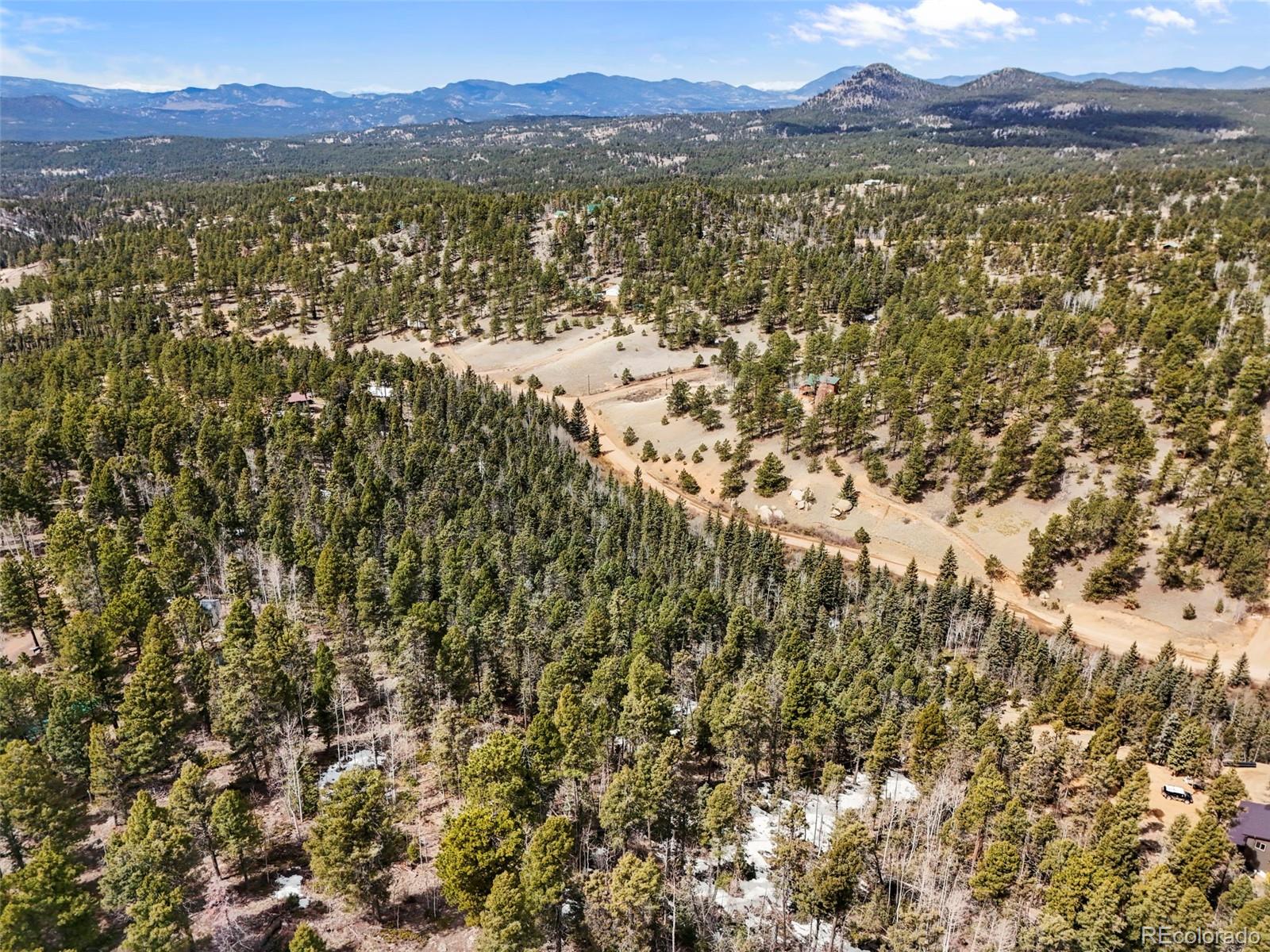 464 E Bison Creek Trail Florissant CO 80816