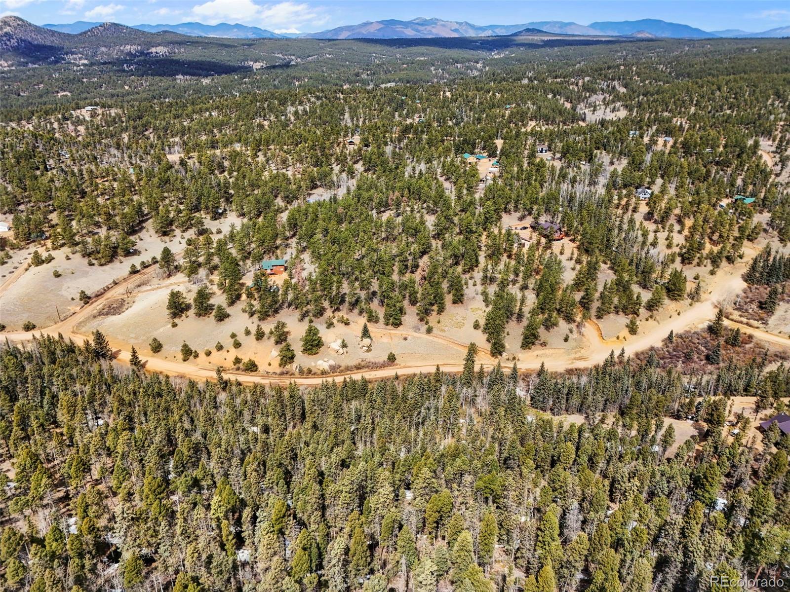 464 E Bison Creek Trail Florissant CO 80816