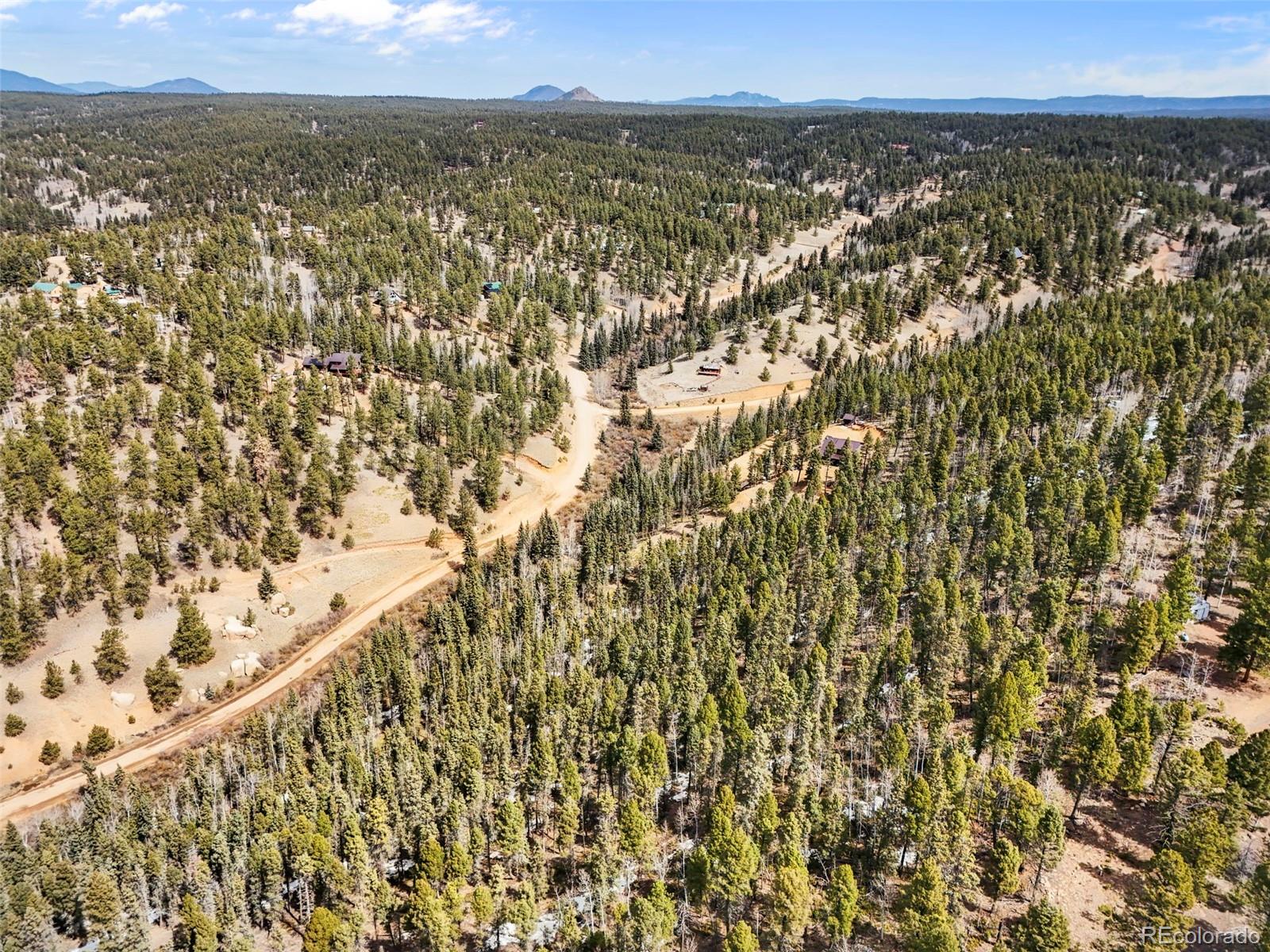 464 E Bison Creek Trail Florissant CO 80816