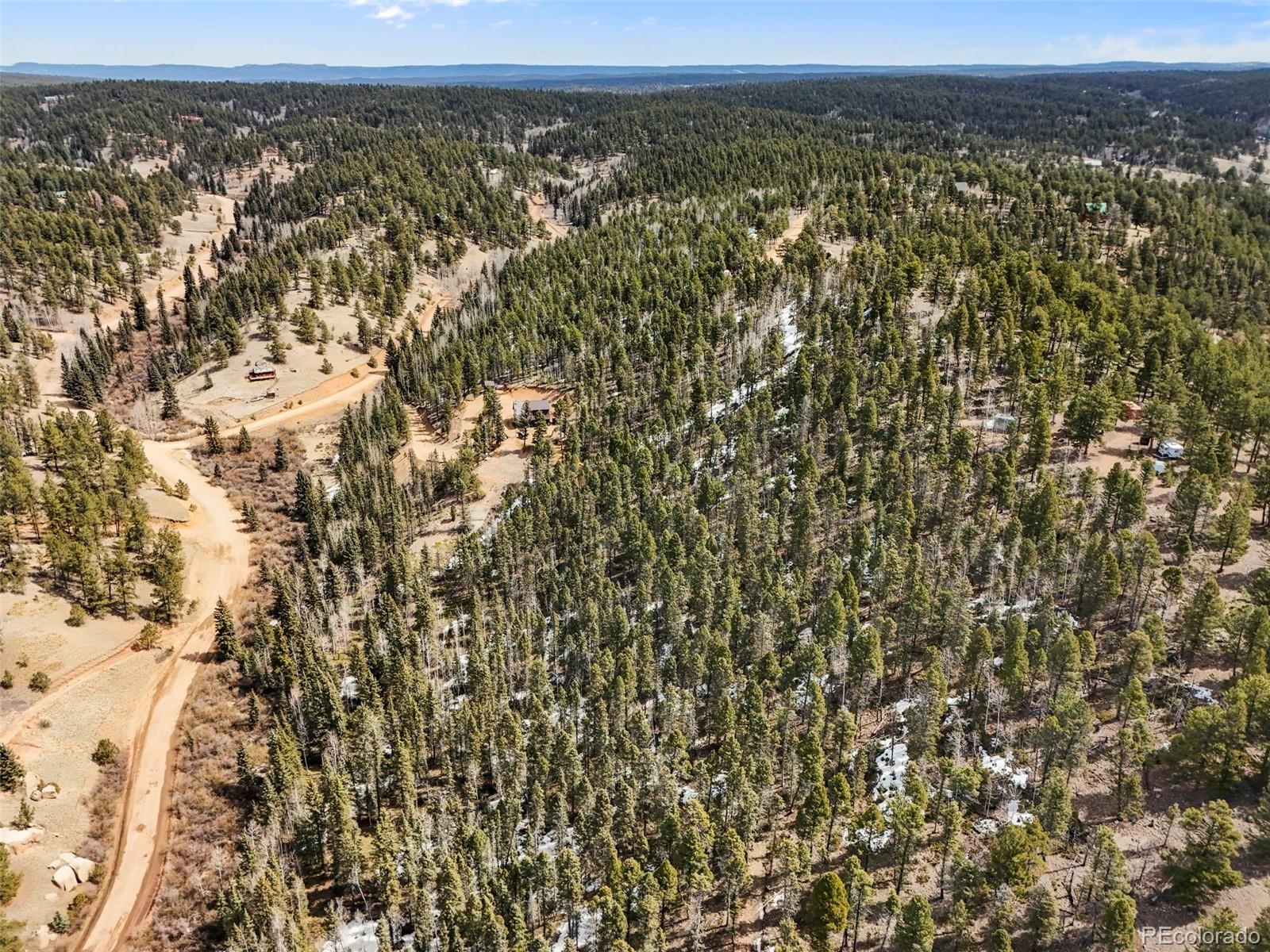 464 E Bison Creek Trail Florissant CO 80816