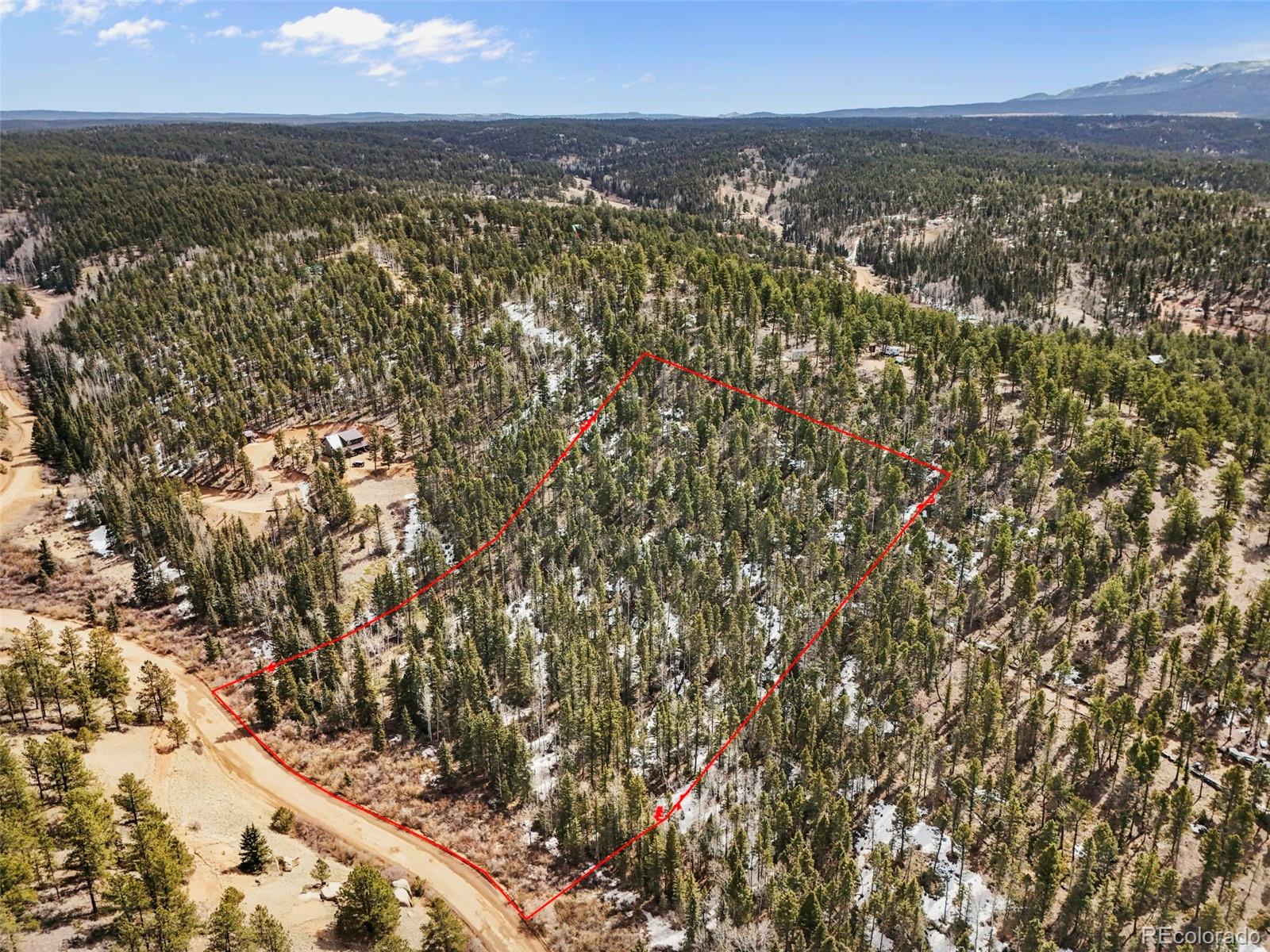 464 E Bison Creek Trail Florissant CO 80816