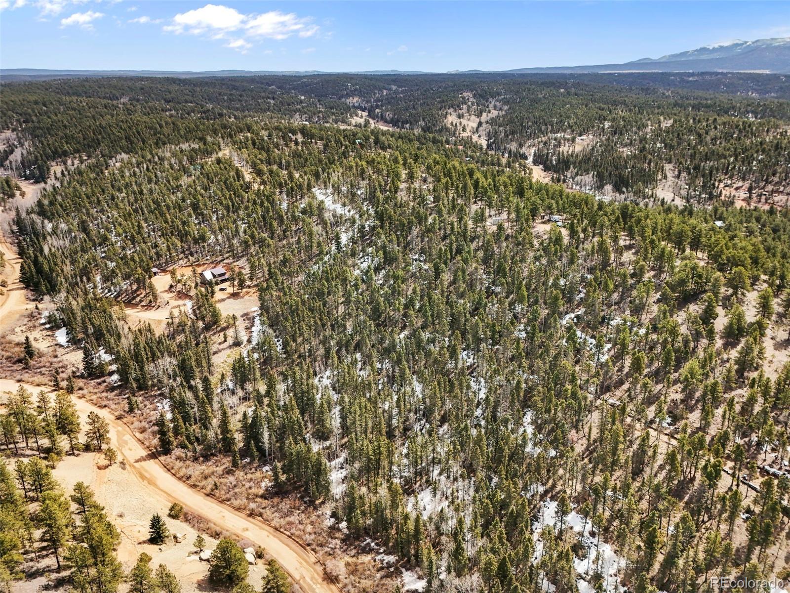 464 E Bison Creek Trail Florissant CO 80816