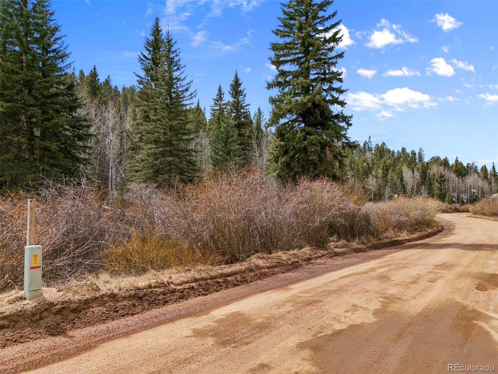 464 E Bison Creek Trail Florissant CO 80816