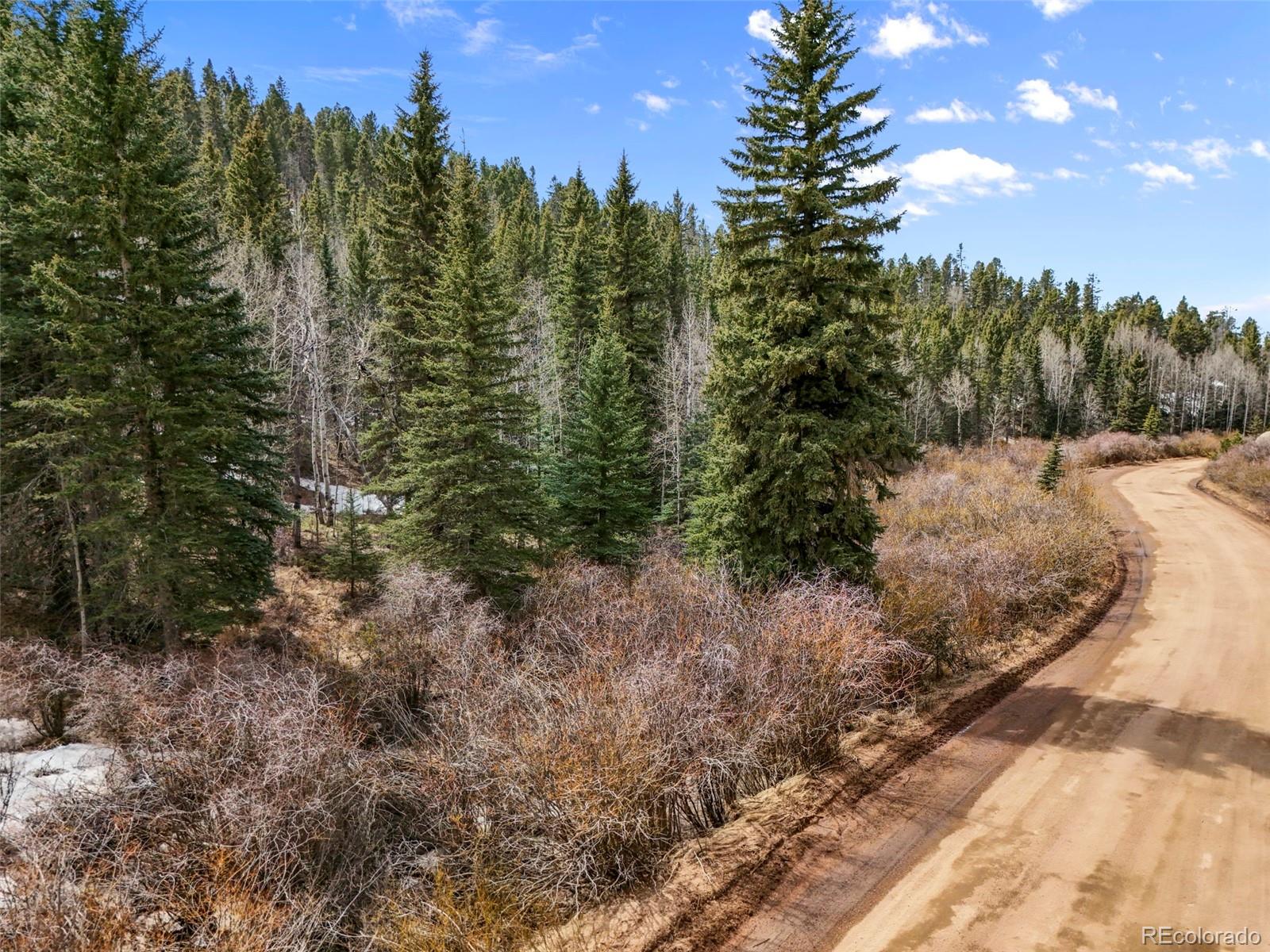 464 E Bison Creek Trail Florissant CO 80816