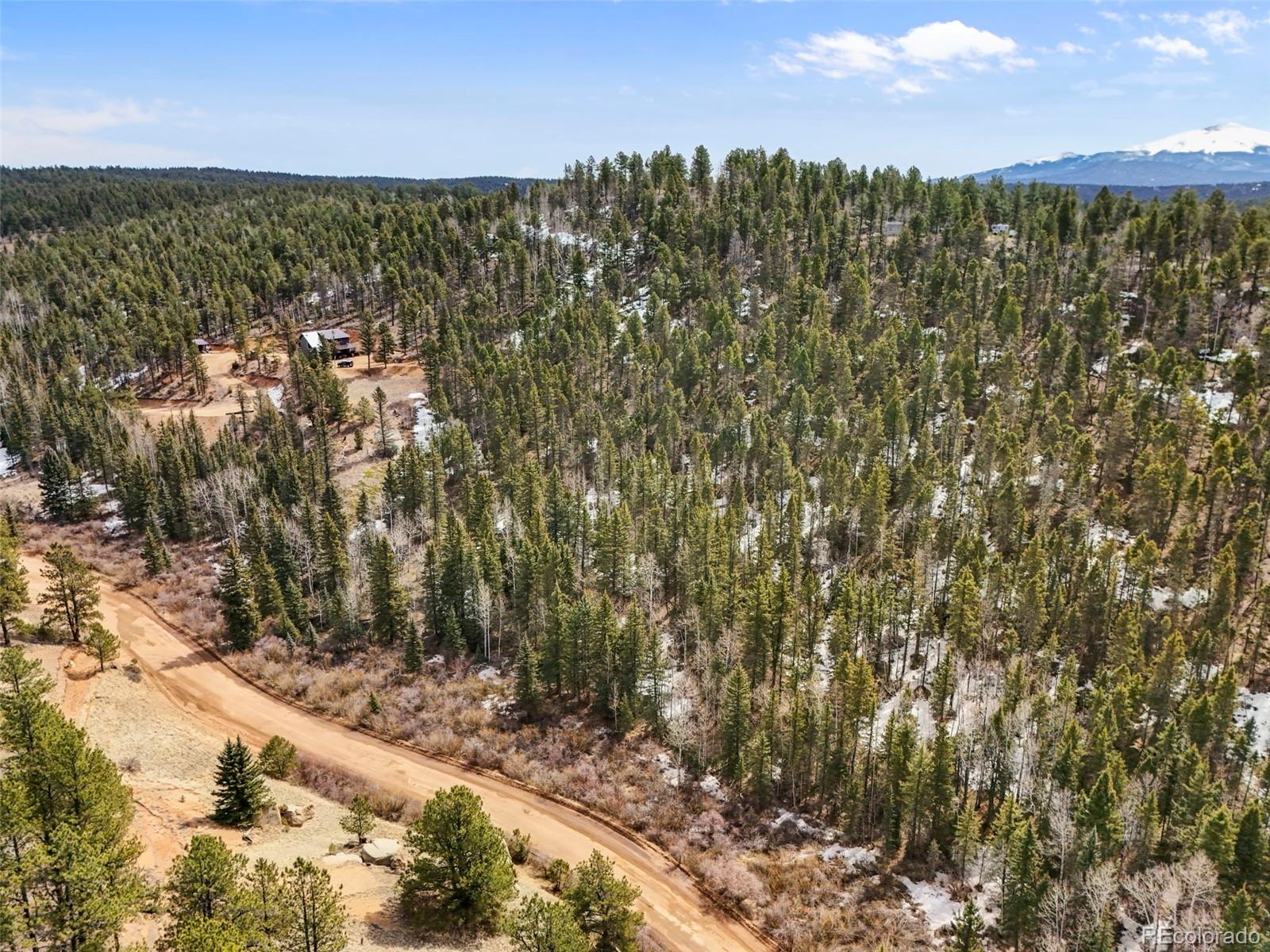 464 E Bison Creek Trail Florissant CO 80816