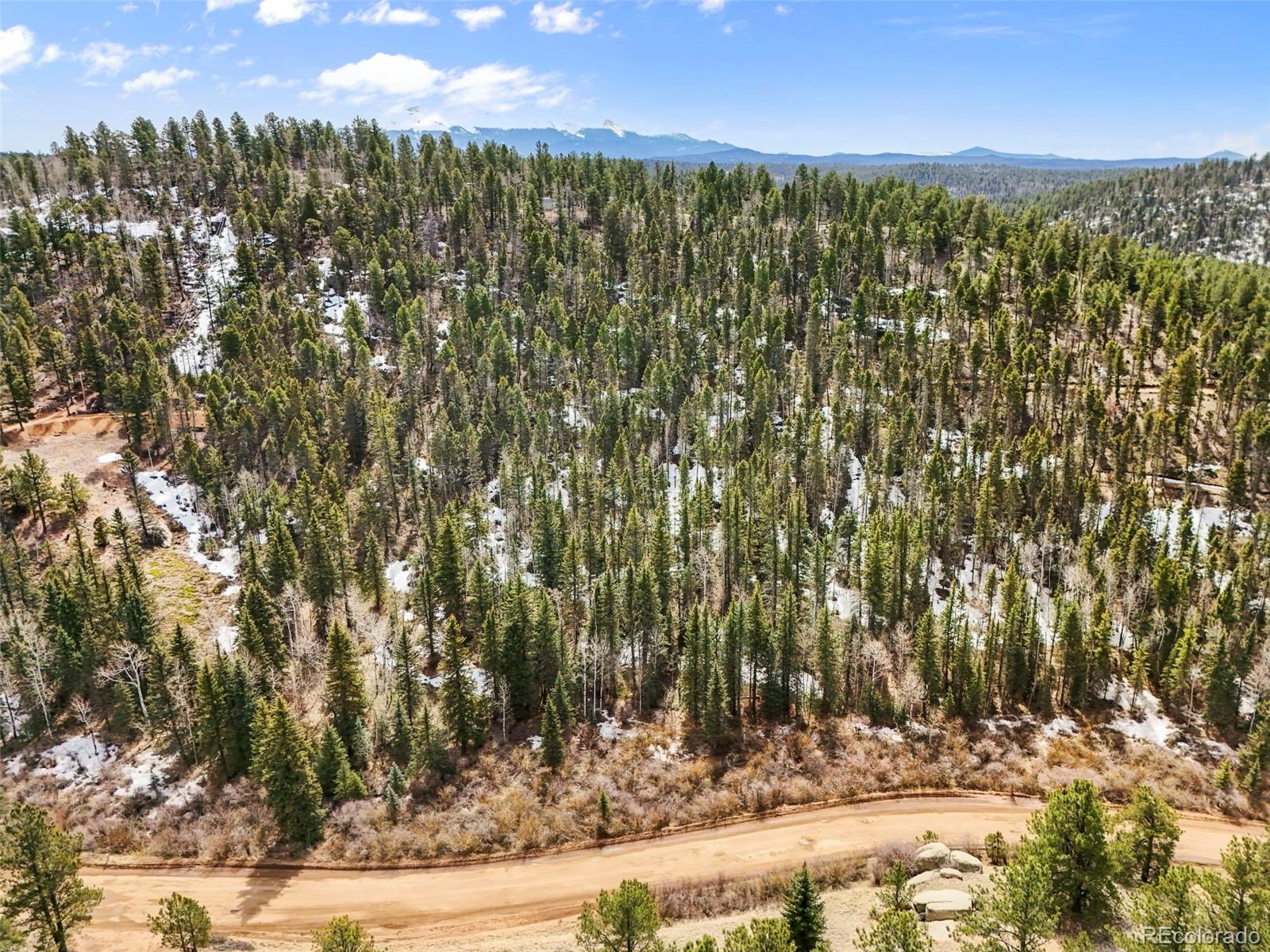 464 E Bison Creek Trail Florissant CO 80816