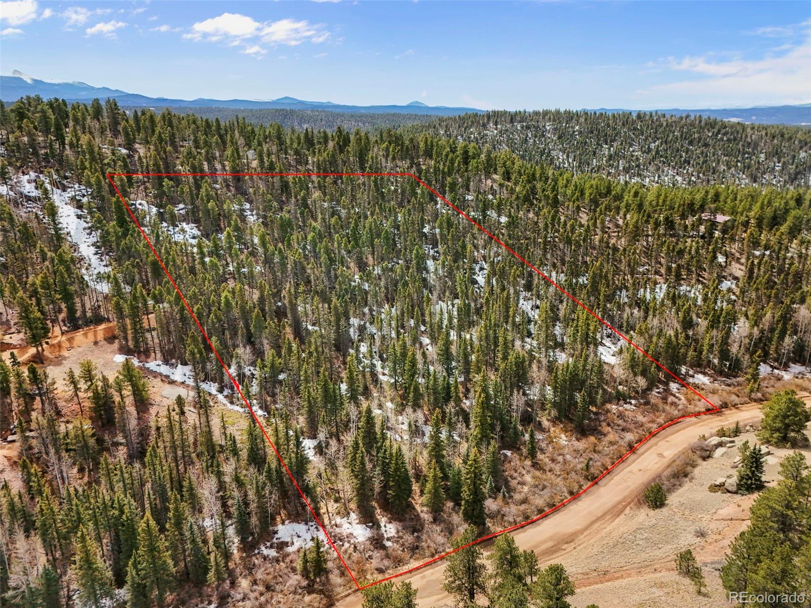 464 E Bison Creek Trail Florissant CO 80816