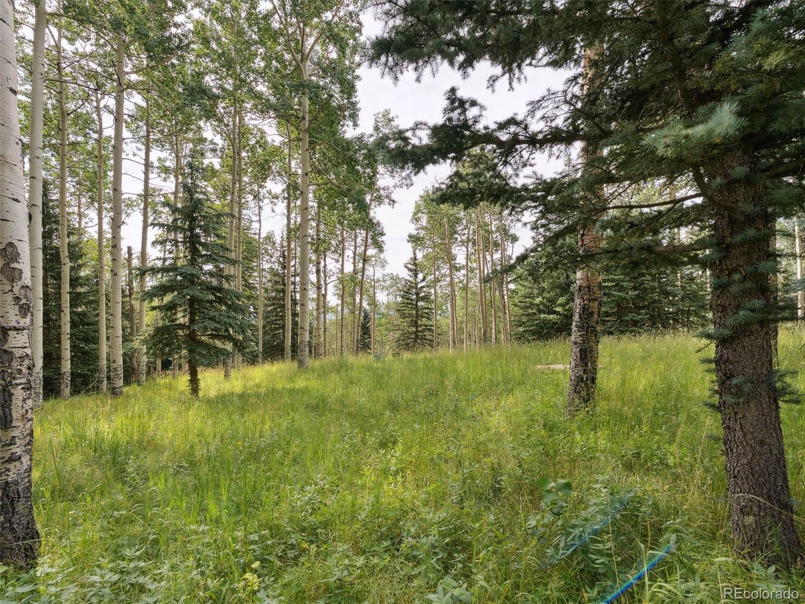 000 Snyder Mountain Road Evergreen CO 80439