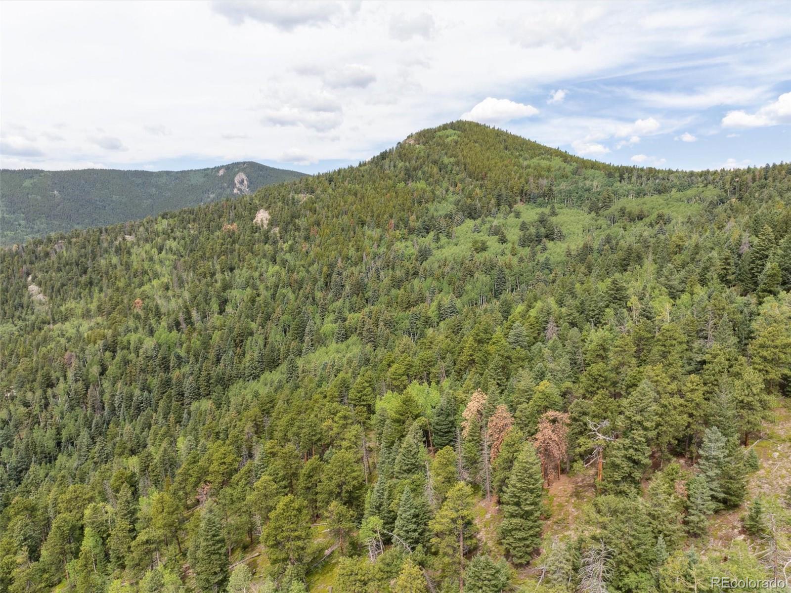 000 Snyder Mountain Road Evergreen CO 80439