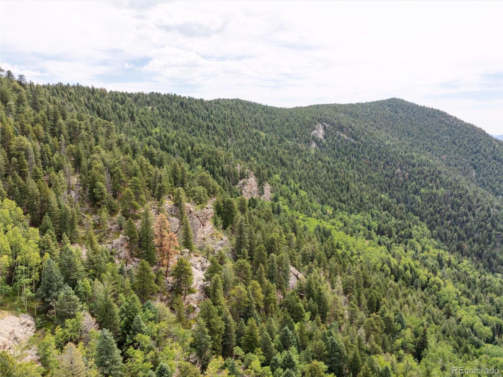 000 Snyder Mountain Road Evergreen CO 80439