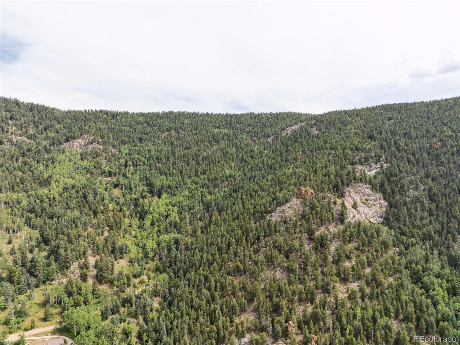000 Snyder Mountain Road Evergreen CO 80439