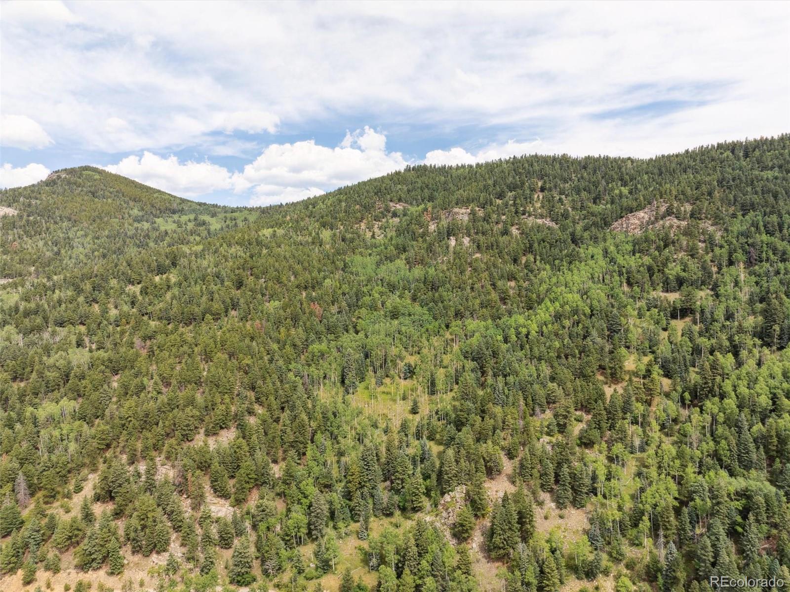000 Snyder Mountain Road Evergreen CO 80439