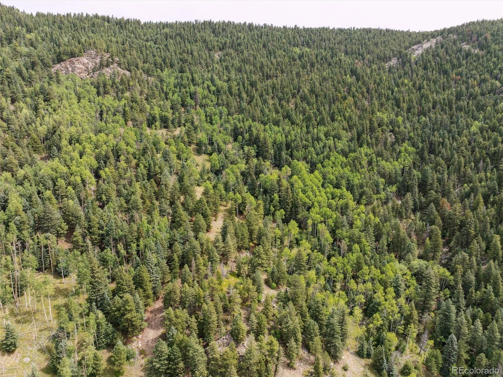 000 Snyder Mountain Road Evergreen CO 80439