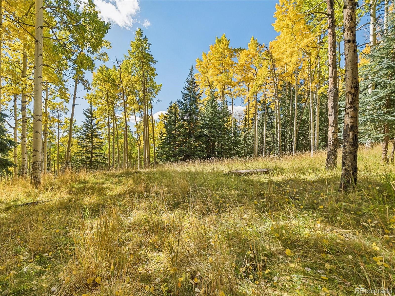 000 Snyder Mountain Road Evergreen CO 80439