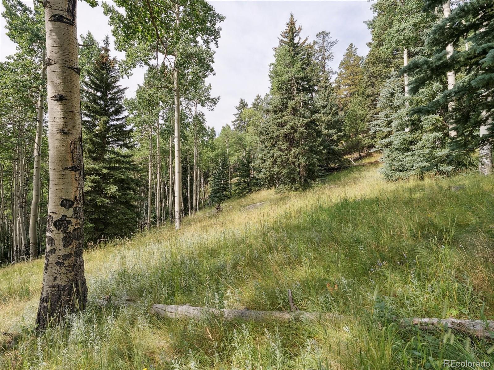 000 Snyder Mountain Road Evergreen CO 80439