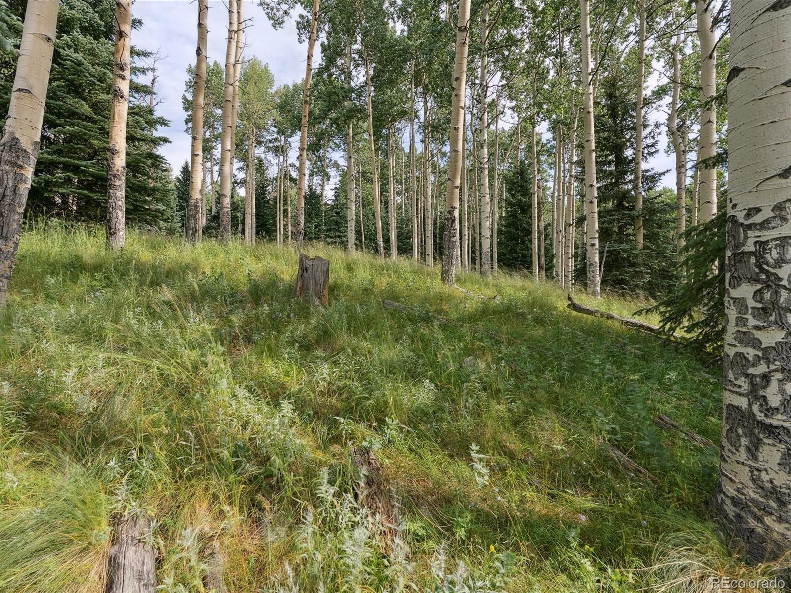 000 Snyder Mountain Road Evergreen CO 80439