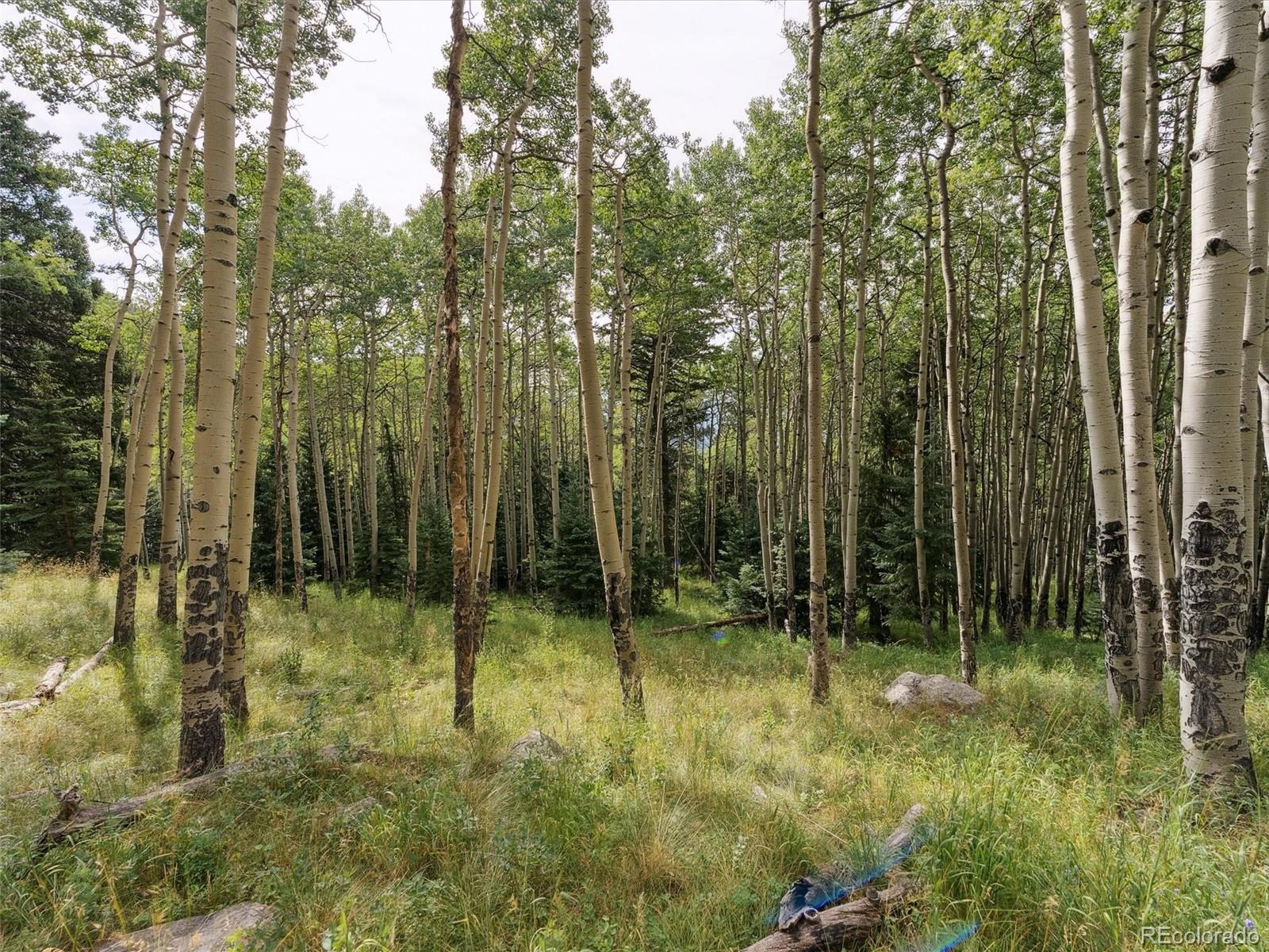 000 Snyder Mountain Road Evergreen CO 80439