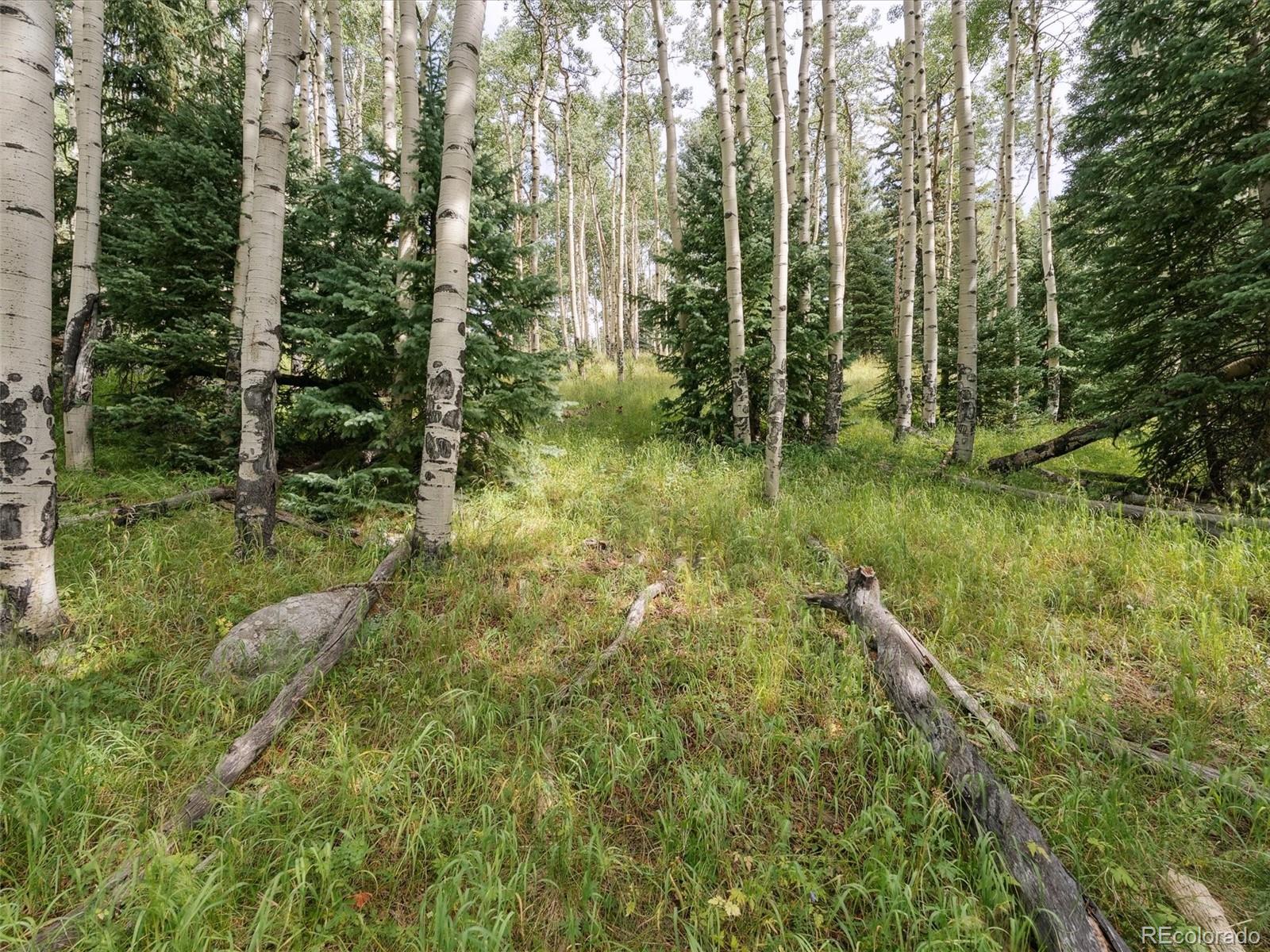 000 Snyder Mountain Road Evergreen CO 80439