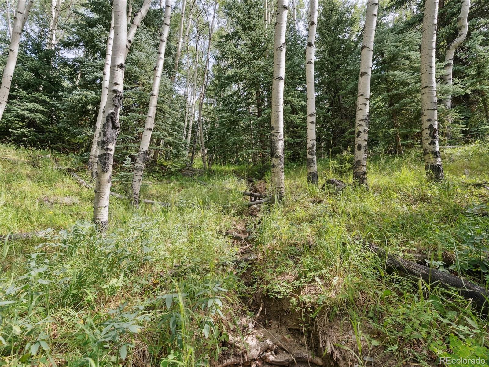 000 Snyder Mountain Road Evergreen CO 80439