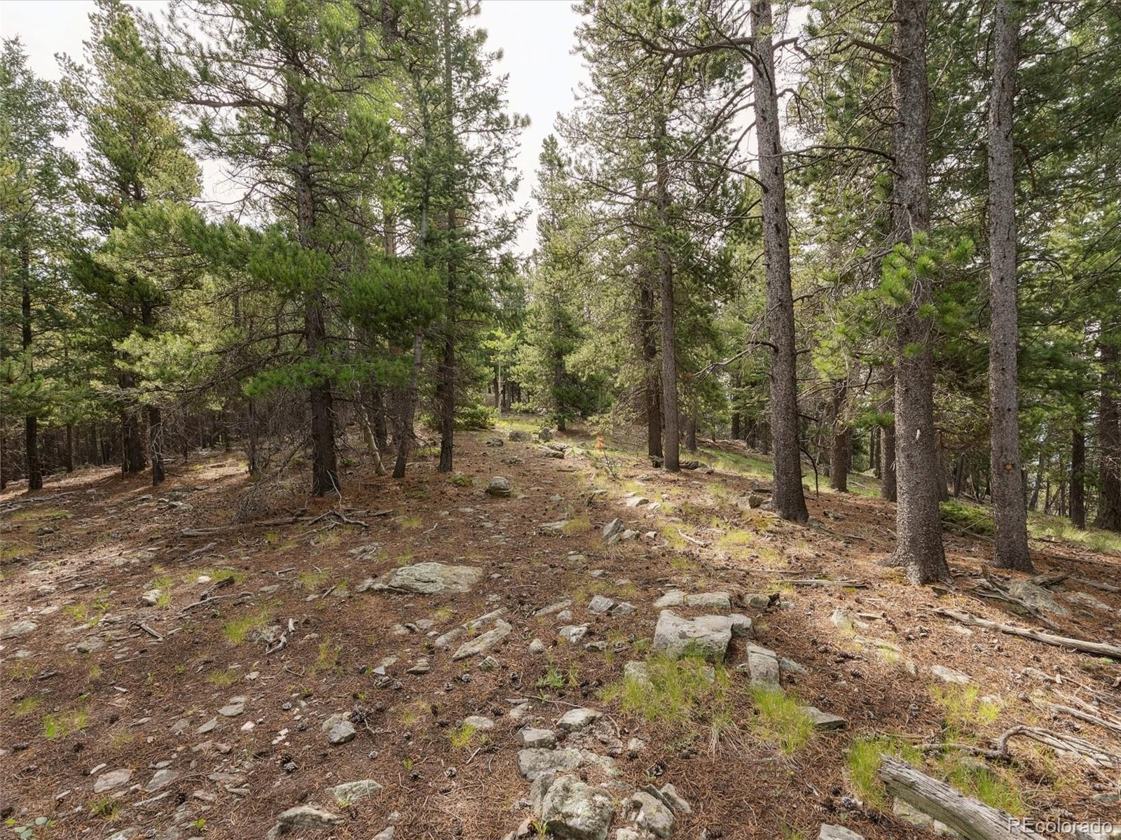 000 Snyder Mountain Road Evergreen CO 80439