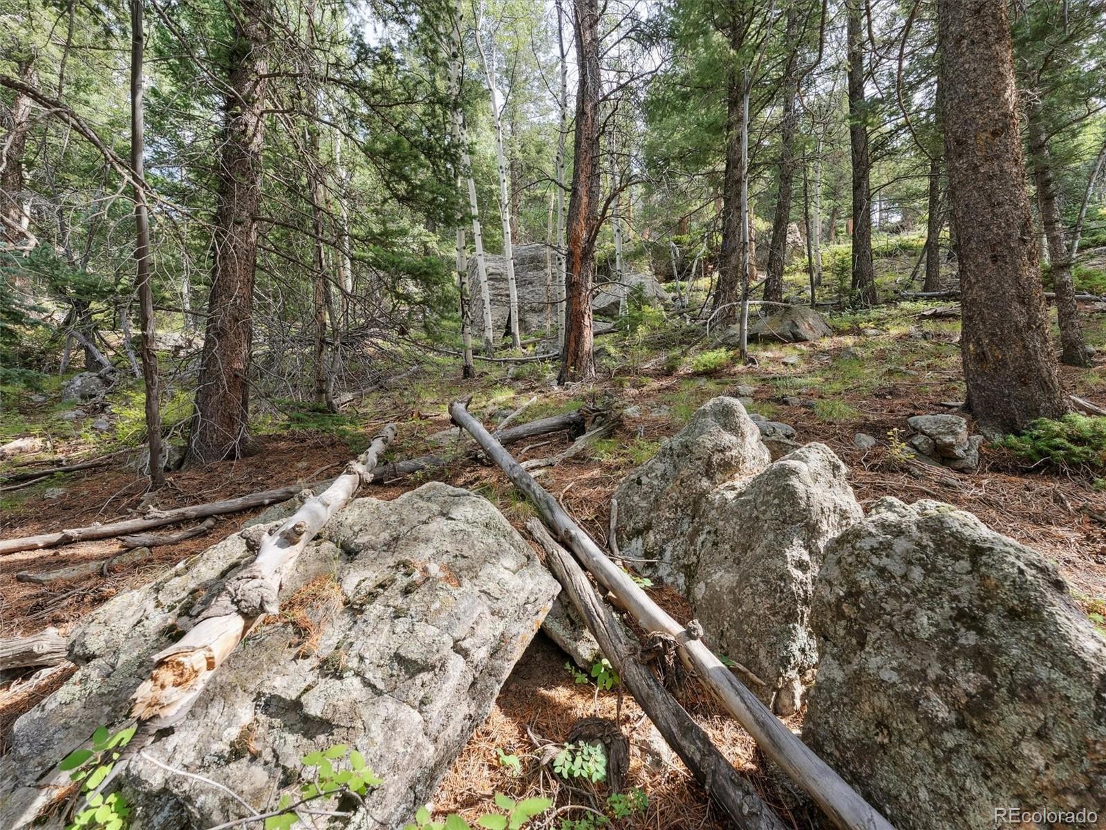 000 Snyder Mountain Road Evergreen CO 80439