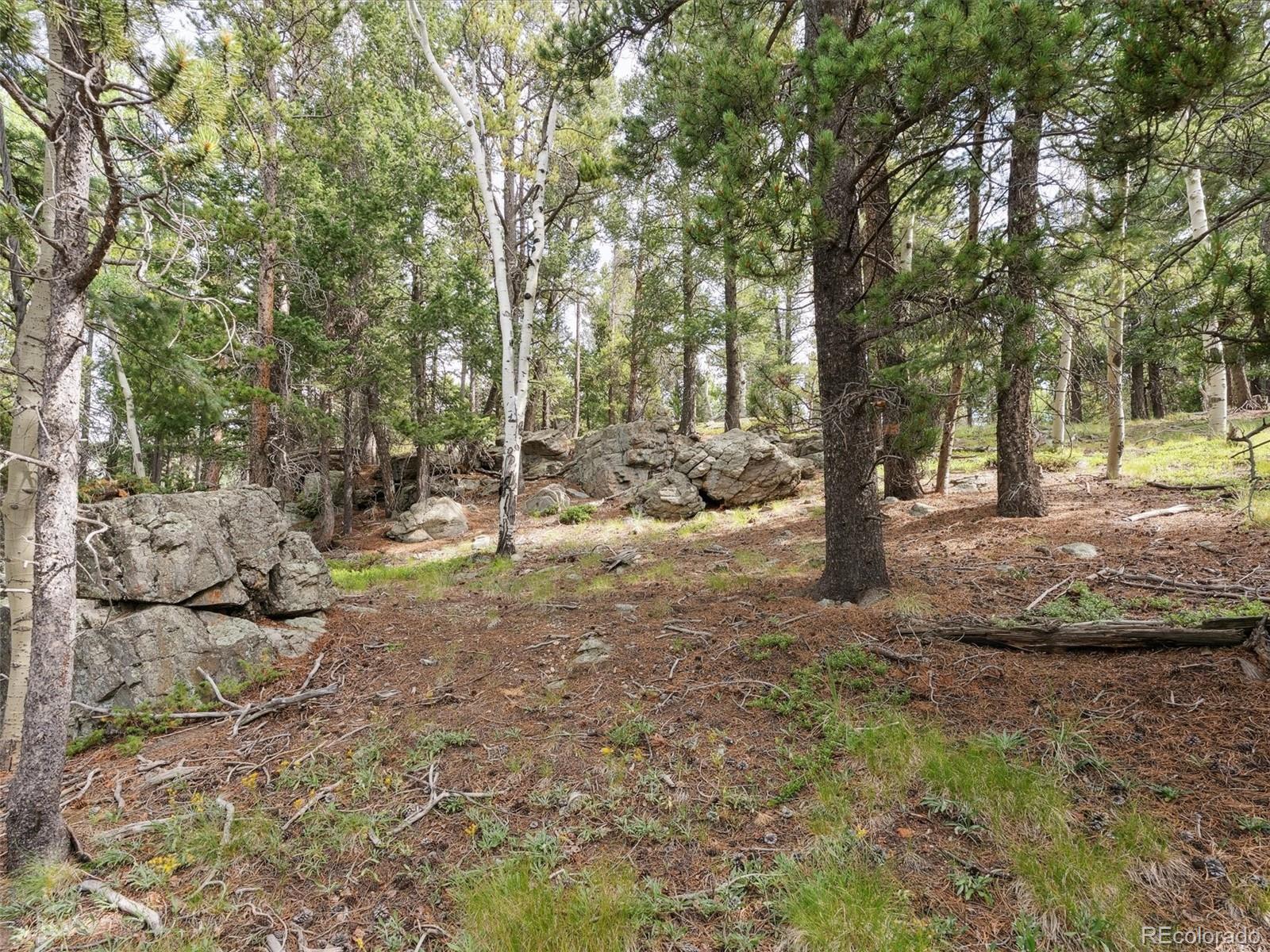 000 Snyder Mountain Road Evergreen CO 80439