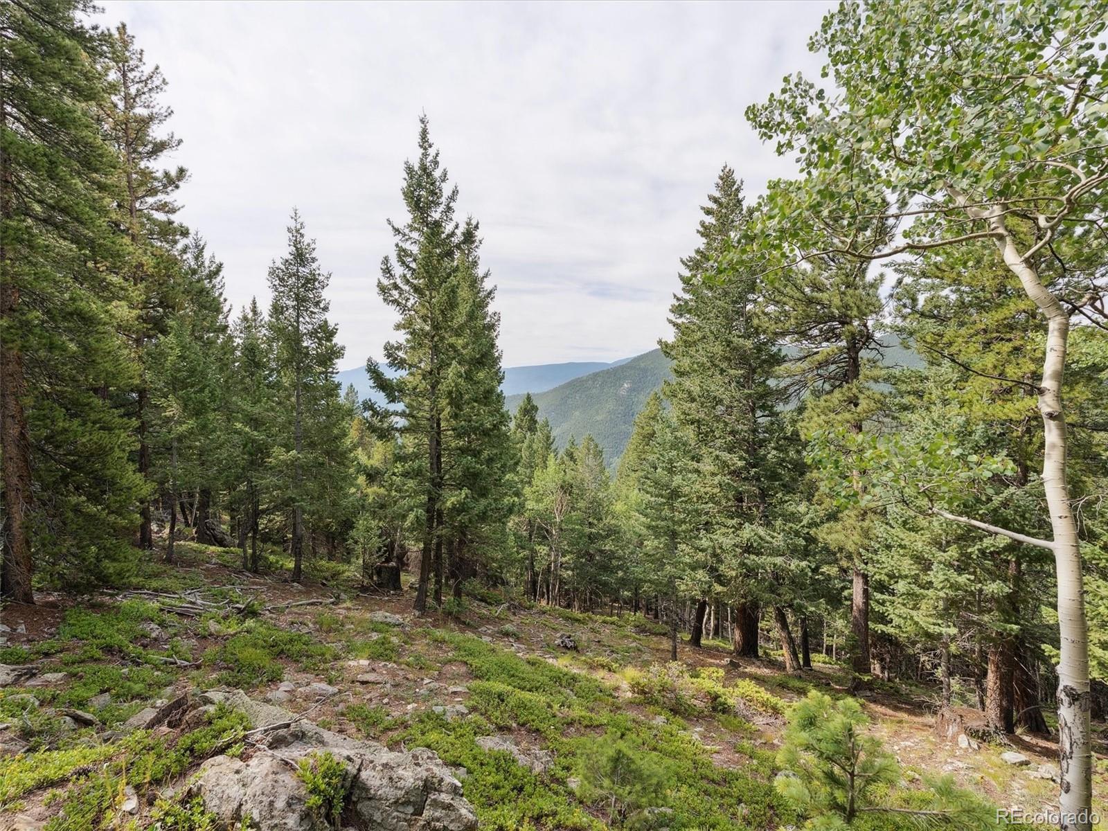 000 Snyder Mountain Road Evergreen CO 80439