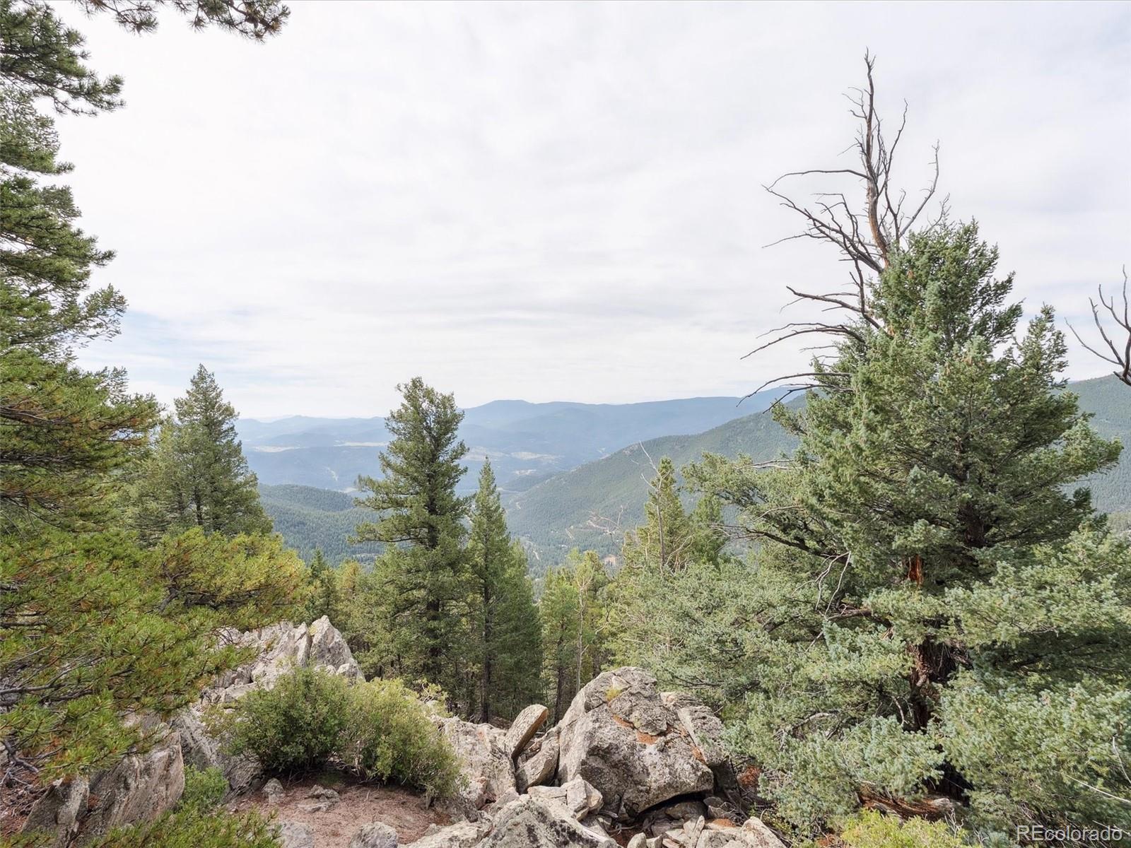 000 Snyder Mountain Road Evergreen CO 80439