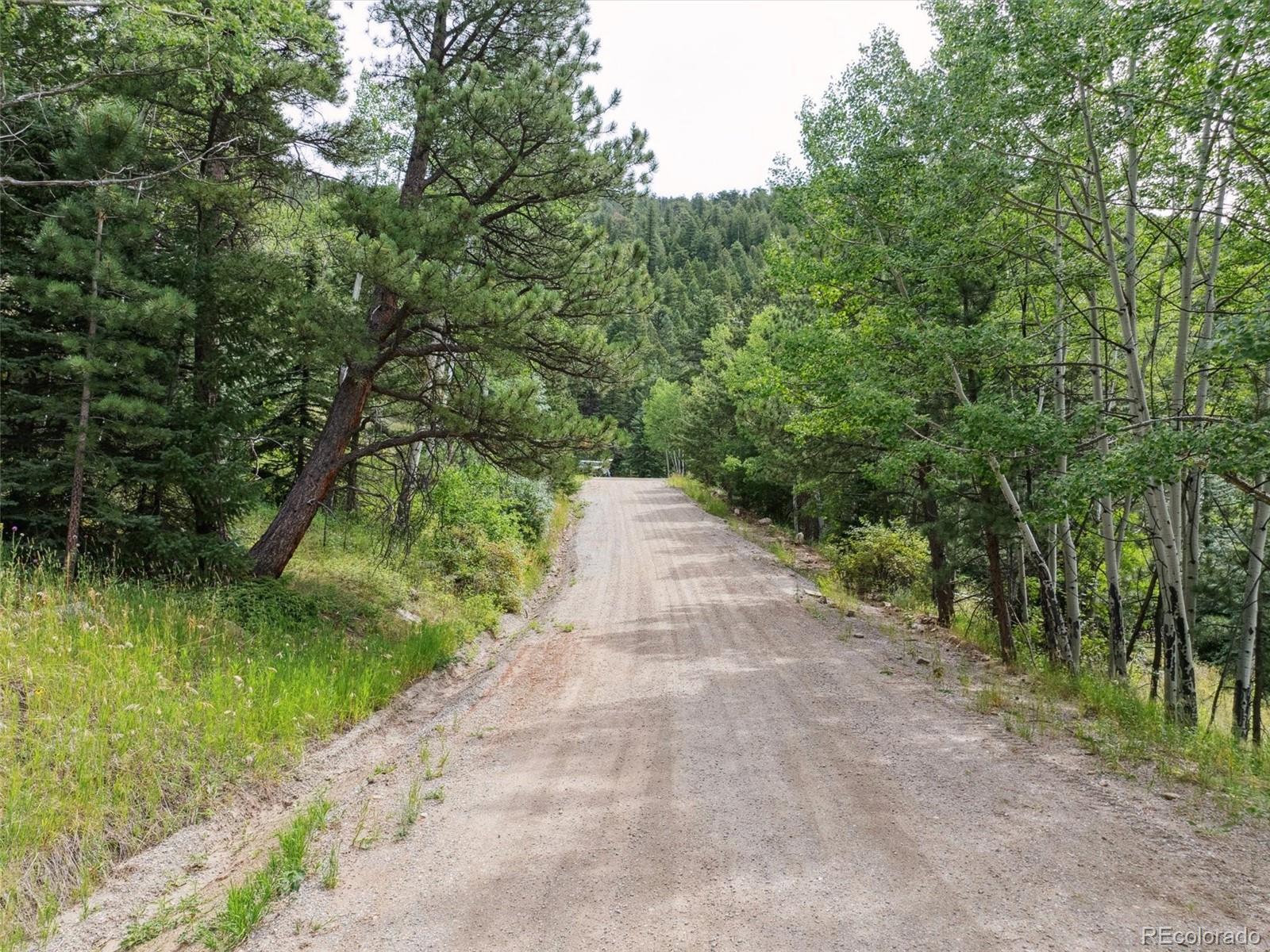 000 Snyder Mountain Road Evergreen CO 80439