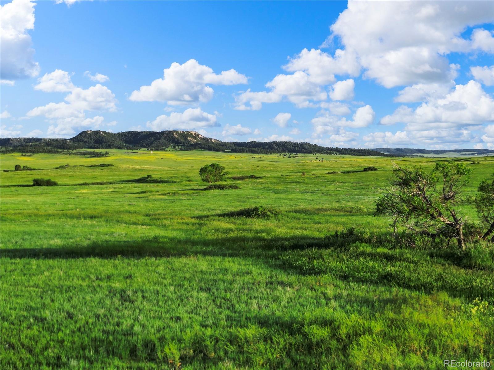 22 County Road 53 Elbert CO 80106