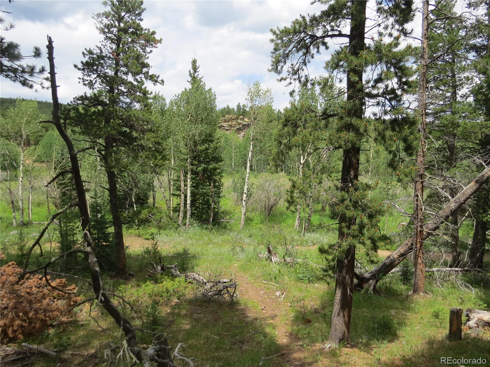 Peak To Peak Highway Nederland CO 80466