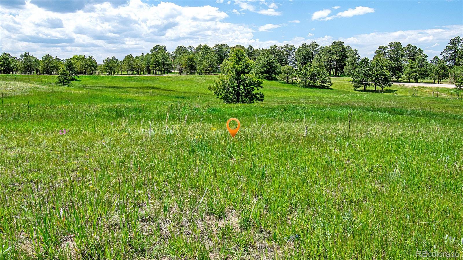 17255 Forest Green Way Elbert CO 80106