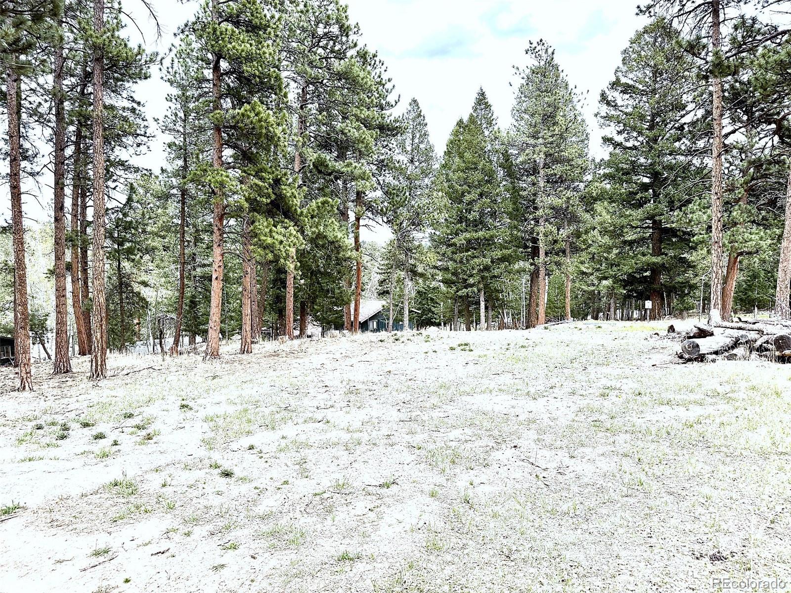 252 Beaver Trail Bailey CO 80421