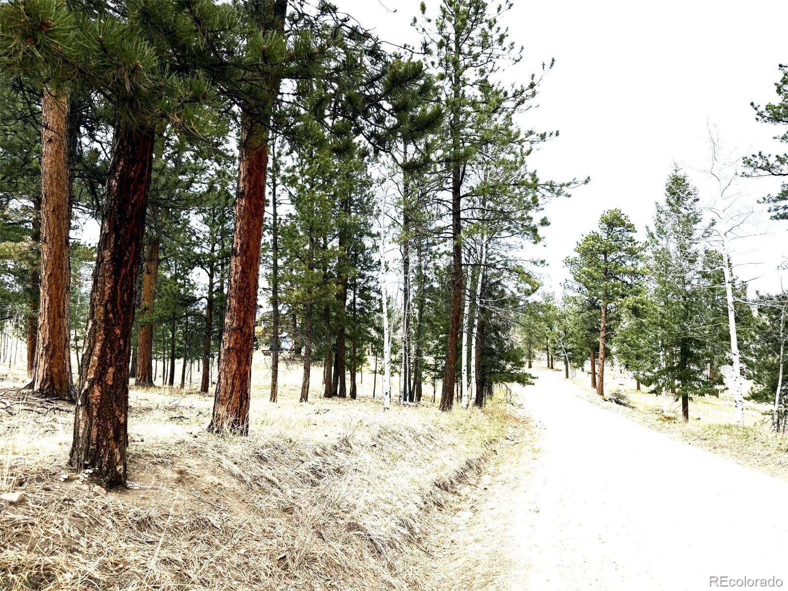 252 Beaver Trail Bailey CO 80421