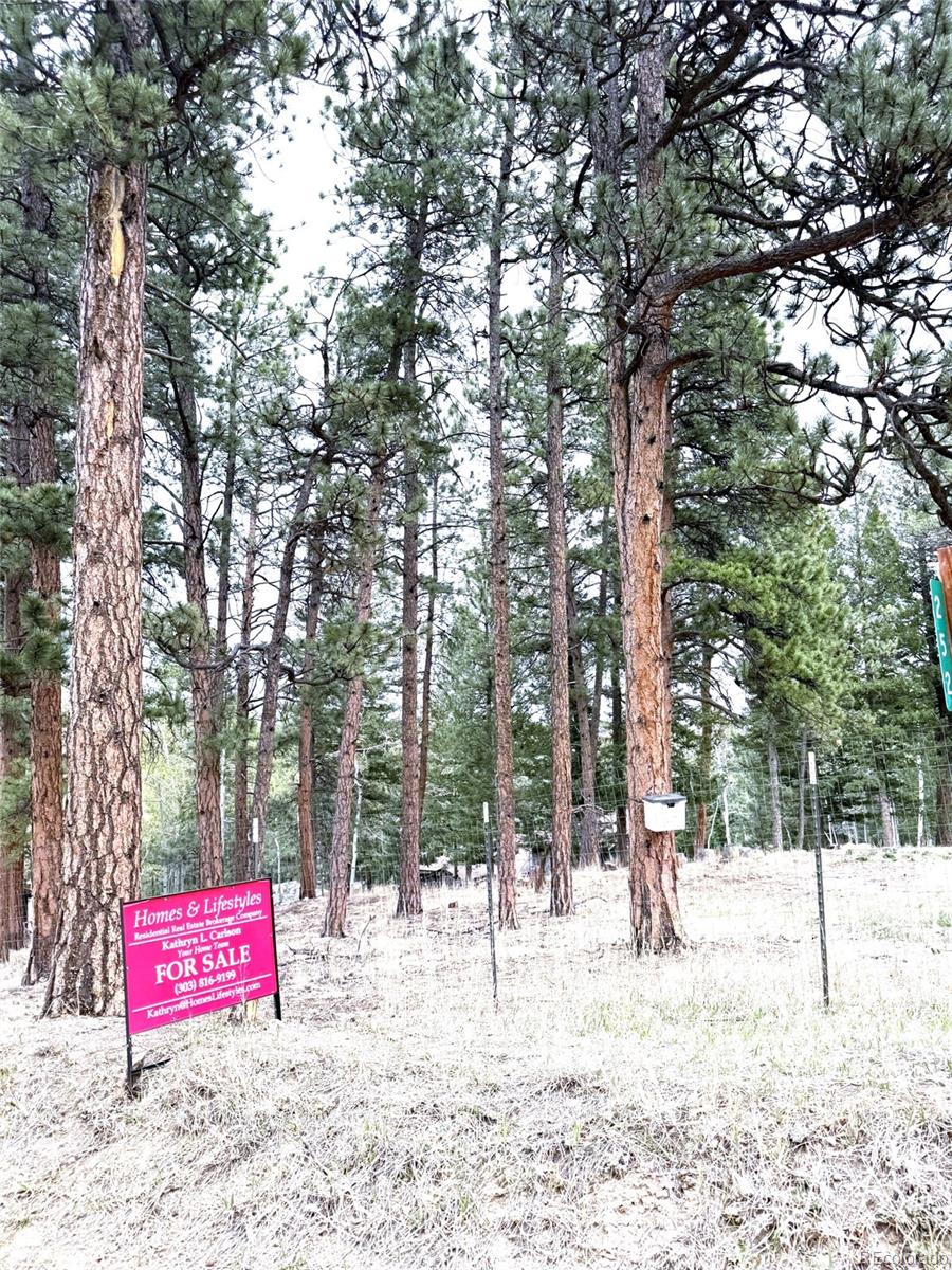 252 Beaver Trail Bailey CO 80421
